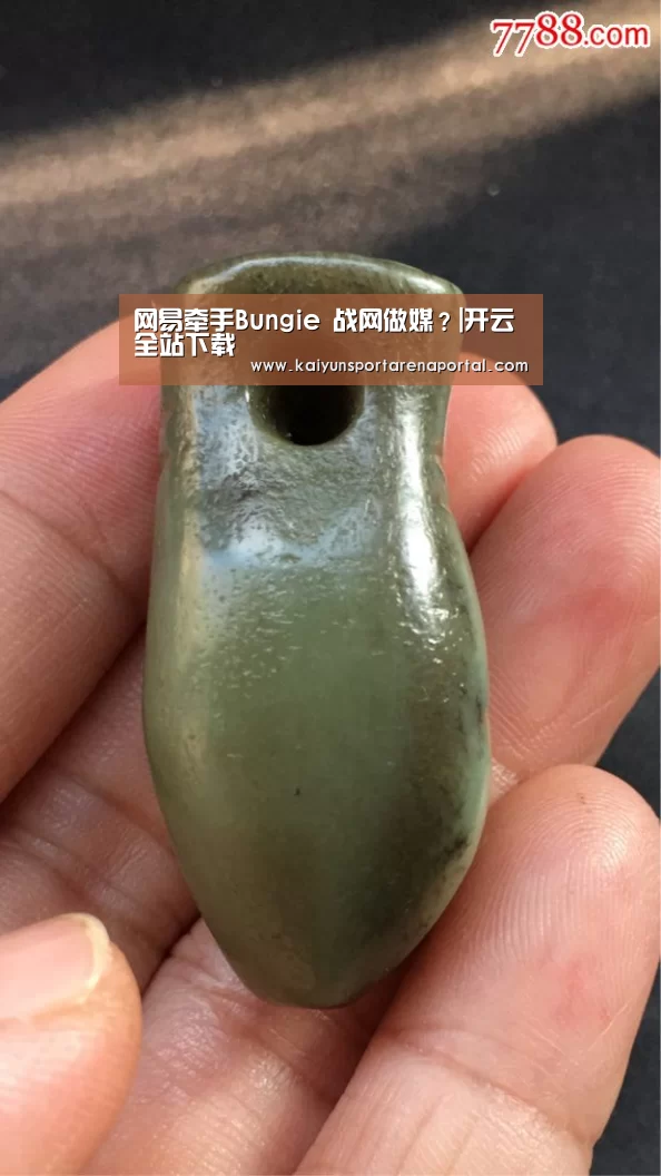 网易牵手Bungie 战网做媒?|开云全站下载(图1) 开云电竞官网