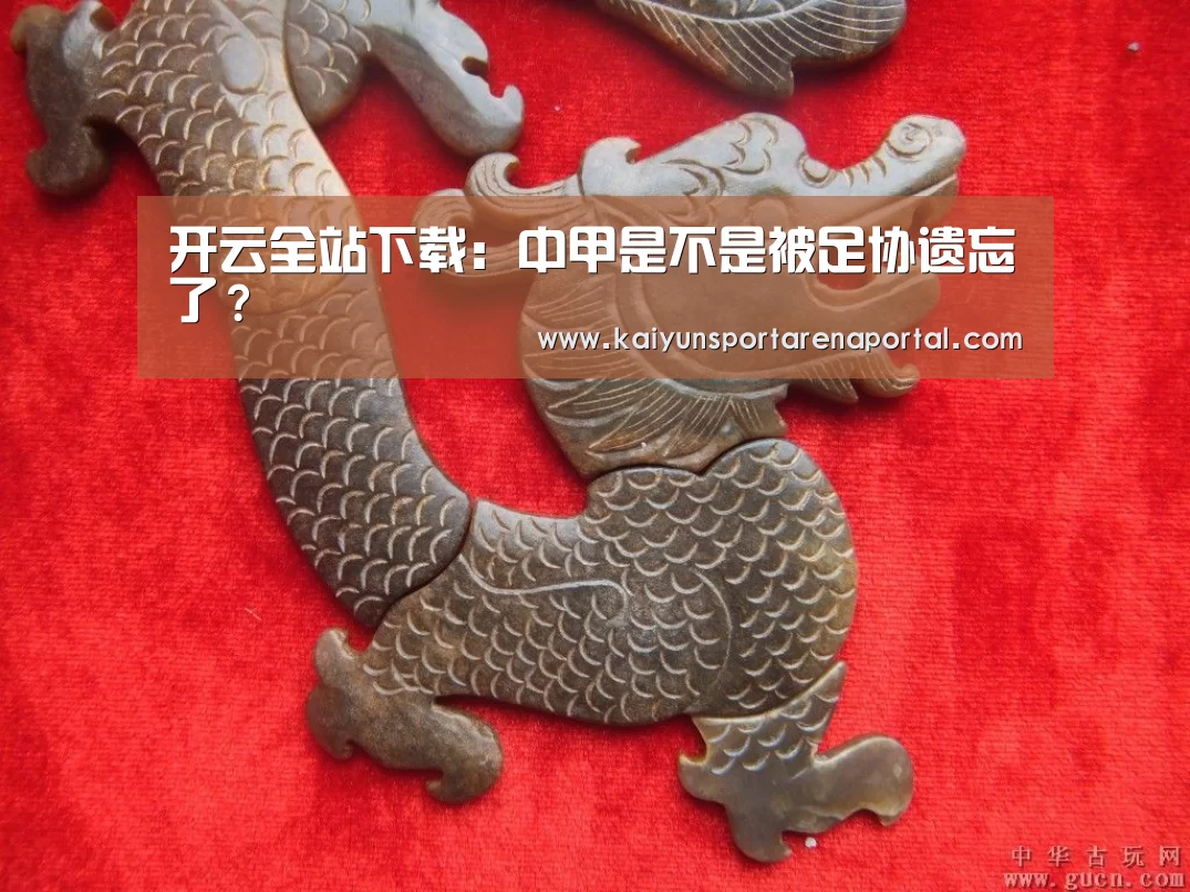 开云全站下载:中甲是不是被足协遗忘了?(图2) 开云移动端