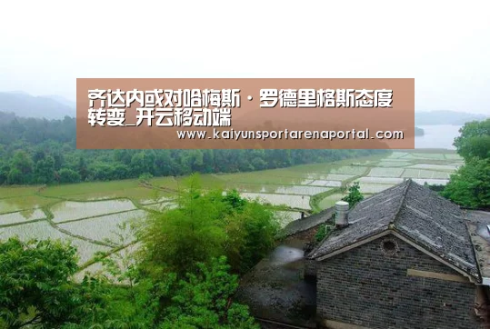 齐达内或对哈梅斯·罗德里格斯态度转变_开云移动端(图3) 开云体育下载
