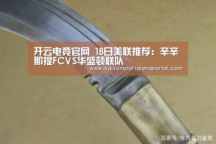 开云全站下载